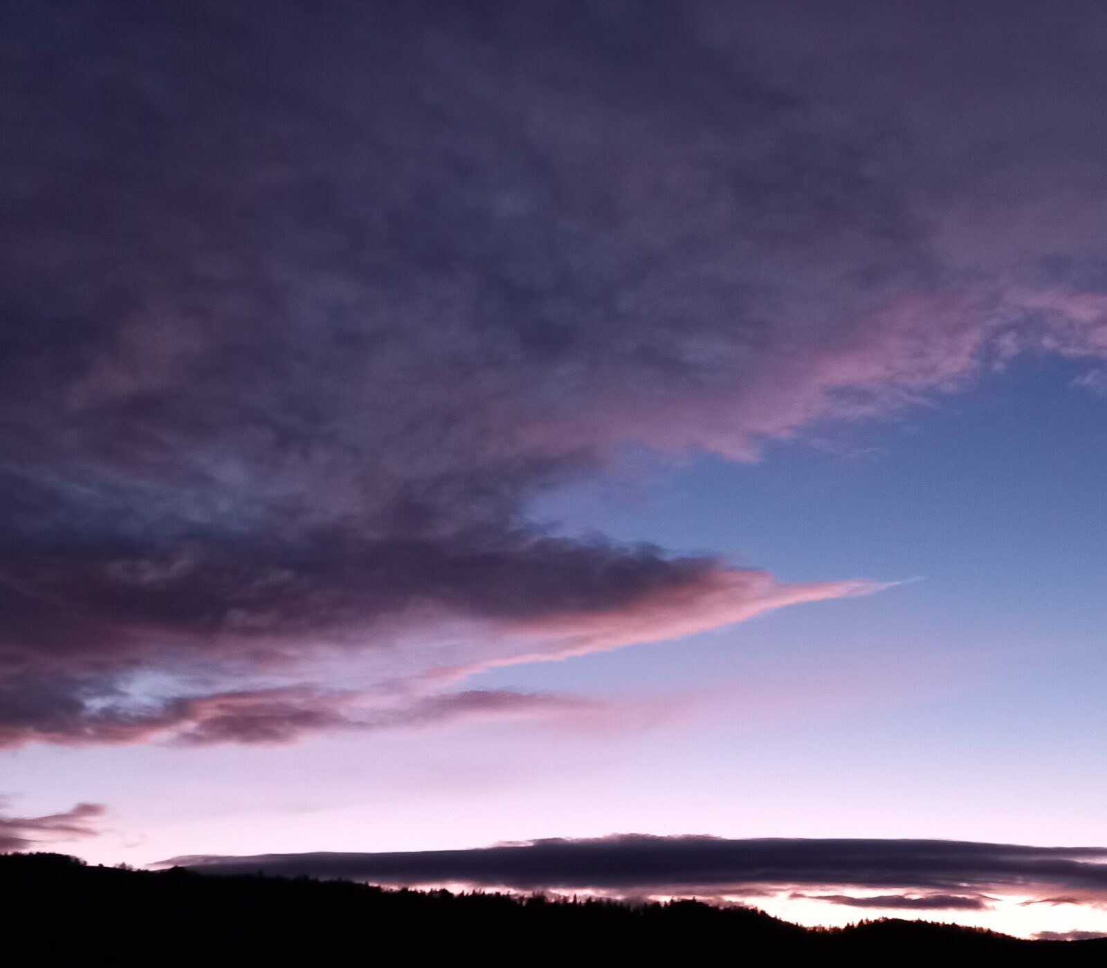 Phronesis ou l’art d’oser la liberté